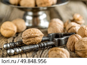 Walnuts. Стоковое фото, агентство Ingram Publishing / Фотобанк Лори