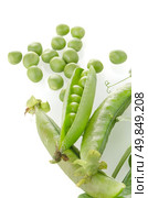 Fresh green pea pod on white background. Стоковое фото, агентство Ingram Publishing / Фотобанк Лори
