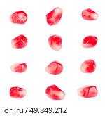 Pomegranate seeds isolated on a white background. Стоковое фото, агентство Ingram Publishing / Фотобанк Лори