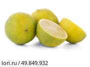 Fresh green limes isolated on white background. Стоковое фото, агентство Ingram Publishing / Фотобанк Лори