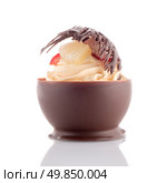 Tasteful strawberry and chocolate pastry mousse isolated on white background. Стоковое фото, агентство Ingram Publishing / Фотобанк Лори