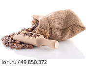 Pinto beans bag with wooden scoop on white background. Стоковое фото, агентство Ingram Publishing / Фотобанк Лори