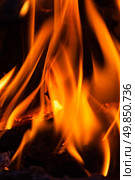 burning fire in the open air. close-up. Стоковое фото, агентство Ingram Publishing / Фотобанк Лори