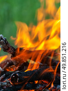 fire on burning woods. Стоковое фото, агентство Ingram Publishing / Фотобанк Лори