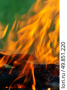 fire on burning woods. Стоковое фото, агентство Ingram Publishing / Фотобанк Лори