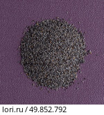 Top view of poppy seeds against purple vinyl background. Стоковое фото, агентство Ingram Publishing / Фотобанк Лори