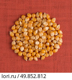 Top view of circle of corn against red vinyl background. Стоковое фото, агентство Ingram Publishing / Фотобанк Лори