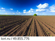 Plough. Стоковое фото, агентство Ingram Publishing / Фотобанк Лори