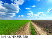 Field road. Стоковое фото, агентство Ingram Publishing / Фотобанк Лори