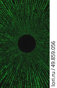 Digital matrix pattern with green binary code on black background. Стоковое AI-видео, аниматор KATERINA AI / Фотобанк Лори