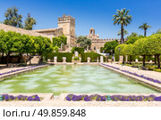 moorish style garden at Cordoba. Стоковое фото, агентство Ingram Publishing / Фотобанк Лори