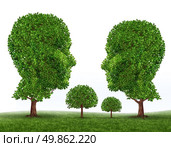 Green Family symbol with trees in the shape of a mother father son and daughter as icons of raising children with a healthy living lifestyle in a clean safe natural environment. Стоковое фото, агентство Ingram Publishing / Фотобанк Лори