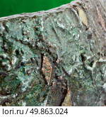 Abstract media mix background. Стоковое фото, фотограф Любовь Назарова / Фотобанк Лори