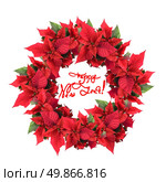 christmas wreath from poinsettia. Стоковое фото, агентство Ingram Publishing / Фотобанк Лори