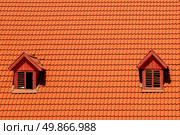 orange roof with window. Стоковое фото, агентство Ingram Publishing / Фотобанк Лори