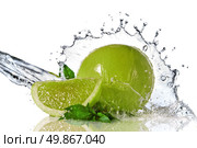 Water splash on lime with mint isolated on white. Стоковое фото, агентство Ingram Publishing / Фотобанк Лори