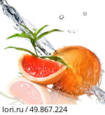 Water splash on grapefruit with mint isolated on white. Стоковое фото, агентство Ingram Publishing / Фотобанк Лори