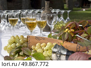 wine on table with grape. Стоковое фото, агентство Ingram Publishing / Фотобанк Лори