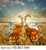 Splash of beer against wheat field and sunset. Стоковое фото, агентство Ingram Publishing / Фотобанк Лори