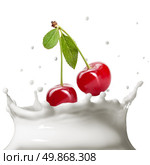Milk splash isolated on white. Стоковое фото, агентство Ingram Publishing / Фотобанк Лори