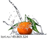 Tangerine with green leaves and water splash isolated on white. Стоковое фото, агентство Ingram Publishing / Фотобанк Лори
