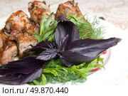 fried meat with potherbs on the plate. Стоковое фото, агентство Ingram Publishing / Фотобанк Лори
