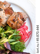 shashlik with potherbs on the plate. Стоковое фото, агентство Ingram Publishing / Фотобанк Лори