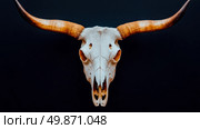 Animal remains, Longhorn skull trophy on dark backdrop. Стоковое AI-изображение, AI-художник Данила Большаков / Фотобанк Лори