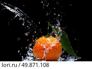 Tangerine with green leaves and water splash isolated on black. Стоковое фото, агентство Ingram Publishing / Фотобанк Лори