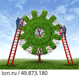Building a business and growing financial success with a team represented by a tree in the shape of a gear or cog and business men climbing red ladders to care for the growth of the plant. Стоковое фото, агентство Ingram Publishing / Фотобанк Лори