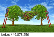 Building business trust and growing a financial partnership through an agreement as two growing trees merging together in a hand shake shape with  businessmen on ladders working together for success. Стоковое фото, агентство Ingram Publishing / Фотобанк Лори