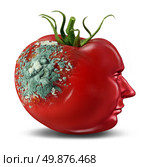 Brain decay and dementia and aging as memory loss concept for human cancer disease or an Alzheimer’s illness with the medical icon of a tomato with mold rotting on a shape of a human head on white. Стоковое фото, агентство Ingram Publishing / Фотобанк Лори