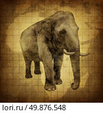 Elephant on old grunch textured parchment paper with a map of Africa as a symbol of wisdom and intelligence with a huge african wilderness pachyderm as an icon of nature and conservation. Стоковое фото, агентство Ingram Publishing / Фотобанк Лори