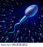 Human sperm cell and male fertility concept with a close up of microscopic spermatozoa cells swimming towards an elusive female egg as a medical reproduction symbol of genetic information transfer and conception. Стоковое фото, агентство Ingram Publishing / Фотобанк Лори