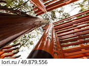 Thousands of vermilion torii gates at Fushimi Inari Taisha Shrine in Kyoto, Japan. Стоковое фото, агентство Ingram Publishing / Фотобанк Лори