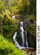 Triberg Falls is one of the highest waterfalls in black forest, Germany. Стоковое фото, агентство Ingram Publishing / Фотобанк Лори