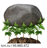 Team strength business metaphor and partnership concept with a group of young tree saplings working together as an organized company resulting in the ability to lift a heavy rock obstacle as a symbol of achievement potential. Стоковое фото, агентство Ingram Publishing / Фотобанк Лори