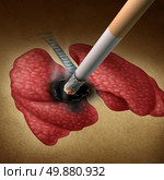Smoking health effects concept with a cigarette burning a hole into a picture of human lungs as a medical metaphor for lung cancer and tumor growth from toxic smoke exposure from a smoker or secondhand fumes. Стоковое фото, агентство Ingram Publishing / Фотобанк Лори