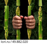 Diet restriction and calorie restriction food concept with prison bars made of asparagus vegetables and hands of a prisoner holding the jail as a dieting metaphor for the stress involved in healthy eating. Стоковое фото, агентство Ingram Publishing / Фотобанк Лори