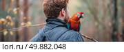 A man standing with a parrot perched on his shoulder, both looking at the camera. Стоковое AI-изображение, AI-художник Данила Большаков / Фотобанк Лори