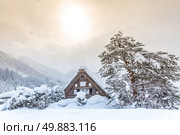 Shirakawago with Snowfall and winter Sun,  Gifu Chubu Japan. Стоковое фото, агентство Ingram Publishing / Фотобанк Лори