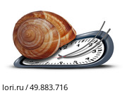 Slow service concept as a time clock with a shell shaped as a snail  as a metaphor for procrastination and leisurely customer service or being tired and sleepy symbol on a white background. Стоковое фото, агентство Ingram Publishing / Фотобанк Лори