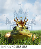 Frog prince castle concept with gold crown representing the fairy tale symbol of hope romance and change in a transformation from an amphibian to handsome royalty after a princess kiss. Стоковое фото, агентство Ingram Publishing / Фотобанк Лори