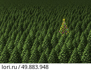 Magical christmas tree concept as a dense forest of pine  with one individual plant decorated with ornaments as a shinning star in a green field of holiday trees background as a winter celebration symbol. Стоковое фото, агентство Ingram Publishing / Фотобанк Лори