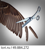 Losing freedom concept as a restriction metaphor to clip the wings of somebody with the feathers of a bird wing being cut by scissors as a symbol of limits and creative limitations imposed by others as a  loss in opportunity. Стоковое фото, агентство Ingram Publishing / Фотобанк Лори