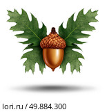 Savings investment freedom as an acorn flying up using leaves shaped as butterfly wings as a financial business symbol for future wealth growth success or growing your saved money. Стоковое фото, агентство Ingram Publishing / Фотобанк Лори