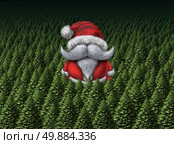 Christmas card or postcard with santa clause or santaclause character in a forest of pine trees as a symbol of the winter holiday celebration and a happy new years greeting. Стоковое фото, агентство Ingram Publishing / Фотобанк Лори