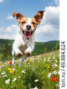 A dog leaps joyfully in the air amidst a vibrant field of blooming flowers on a sunny day. Стоковое AI-изображение, AI-художник Данила Большаков / Фотобанк Лори