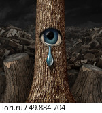 Mother nature crying concept as a background of chopped wood and cut trunks with one surviving tree with an open eye crying a tear drop as a metaphor for failed conservation. Стоковое фото, агентство Ingram Publishing / Фотобанк Лори