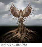 New life breaking free as a concept for freedom and power as the rise of the phoenix to be reborn and overcome challenges rising from entangled tree roots as a success symbol of hope. Стоковое фото, агентство Ingram Publishing / Фотобанк Лори